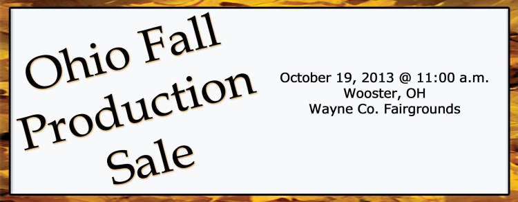Ohio Fall Sale