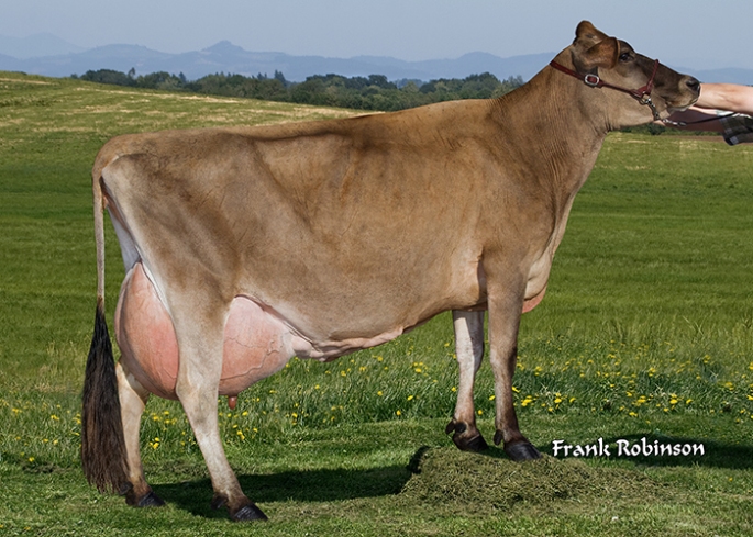 "Irwin" embryos from this cow are included in the Listing 7049