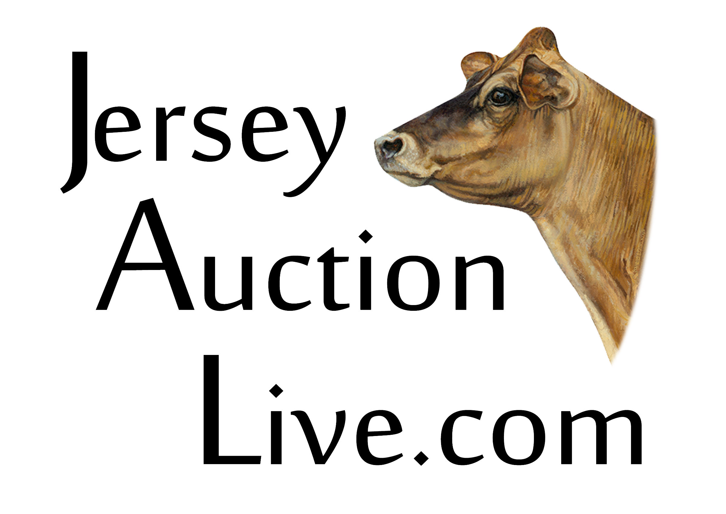 jersey auction live